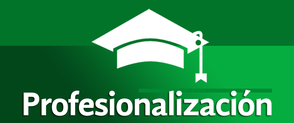 Banner-Profesionalizacion2